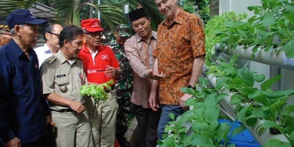 Program Penghijauan Bagus Untuk DKI Jakarta