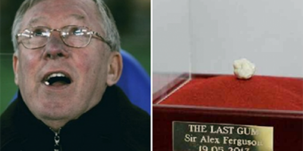 Permen Karet Bekas Alex Ferguson Laku Rp 7 Miliar Lebih