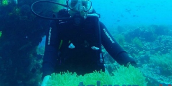 Wakatobi, Surga Bawah Laut Yang Menakjubkan