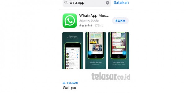 Remaja di Bawah 16 Tahun Dilarang Pakai WhatsApp