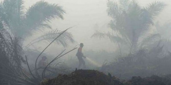 Waduh! Titik Panas Di Riau Alami Peningkatan