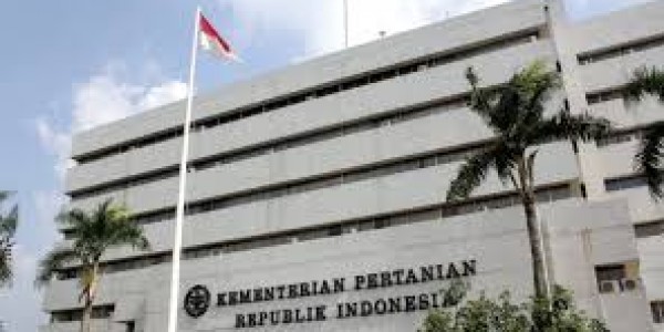 Kementan Optimis Swasembada Daging Sapi Pada 2026 Akan Terwujud