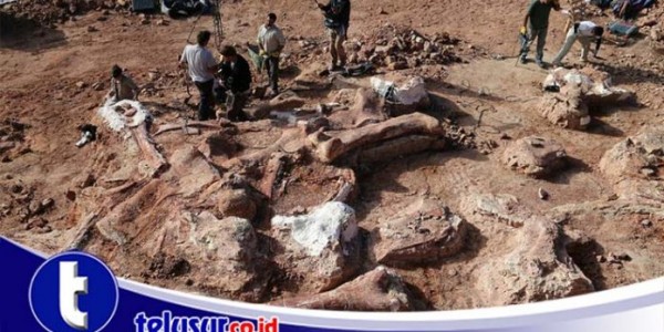 Ilmuwan Berhasil Menemukan Spesies Baru Dari Titanosaurus di Gurun Sahara