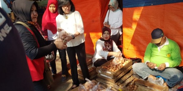 Kementan Pastikan Stok Telur Ayam Untuk Ramadhan dan Lebaran Aman