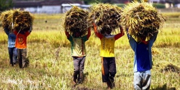 Dihari HTN, Pemerintah Harus Utamakan Kesejahteraan Kaum Tani