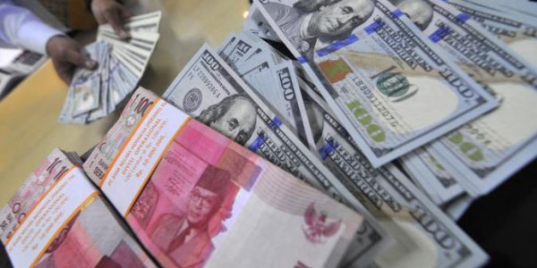 Cuma Di India, Tikus Makan Duit Sampai 18 Ribu Dolar