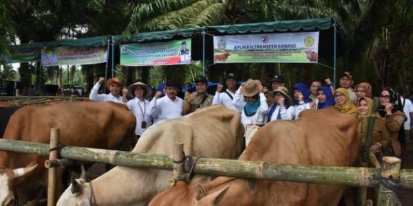 Kementan Dorong Pengembangan dan Kemandirian Pakan