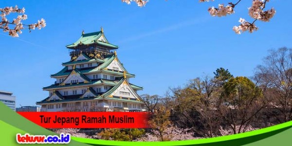 Agen Perjalanan Osaka Menawarkan Tur Jepang Yang Bersahabat Dengan Muslim