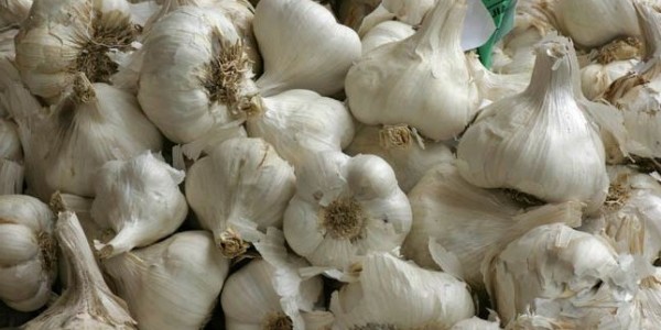 Rugikan Petani, DPR Desak Impor 100 Ribu Ton Bawang Putih Dievaluasi