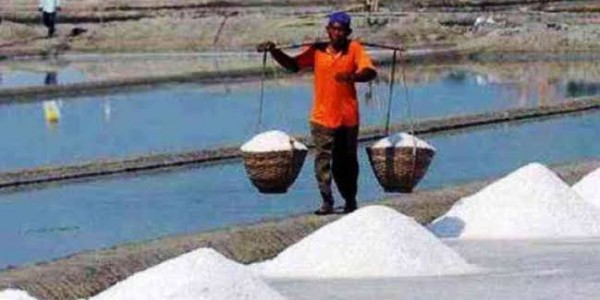 Petani Garam Teriak Akibat Harga Garam Terjun Bebas