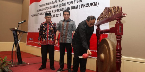 DAK Non Fisik PK2UKM Meningkat Tajam Jadi Rp200 Miliar