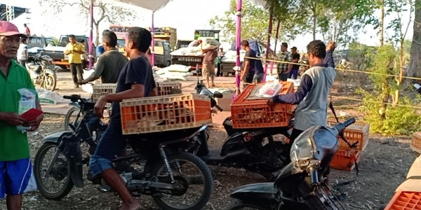 Kementan Pastikan Terus Distribusi Bantuan Ayam Pada Rakyat Miskin