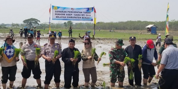 Canangkan Percepatan Tanam Gadu MT 2019, LTT Padi Kabupaten Bekasi Bertambah 13.450 Hektare