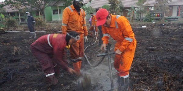Kebakaran Hutan, Dishut Kalimantan Terjunkan Brigdalkarhutla