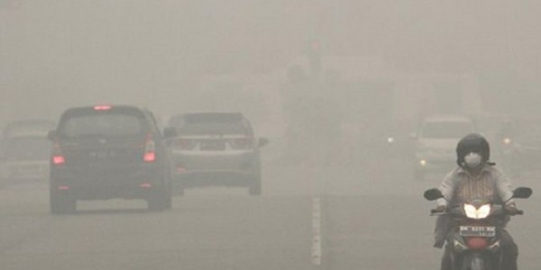 Anak-Anak Ikut Jadi Korban, KPAI Dorong Pemerintah Daerah Atasi Kebakaran
