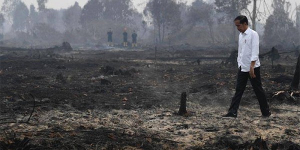 Selain Kepala Daerah, Mendagri Tegaskan Presiden Dilarang Pergi ke Luar Negeri