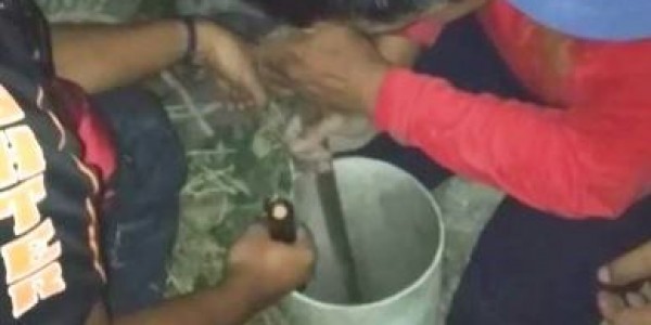 Petugas Damkar Selamatkan Kucing Terperosok Ke Lubang Bekas Sumur