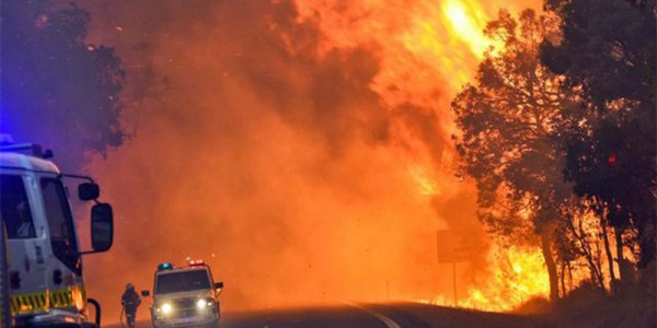 Kebakaran Hutan, Dua Orang Ditemukan Meninggal dan 100 Rumah Ludes