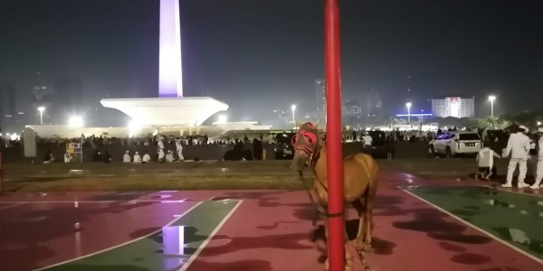 Di Reuni 212, Beberapa Ekor Kuda Terus Meringkik
