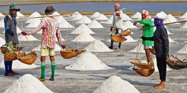 Pemerintah Bohong Pada Petani Garam