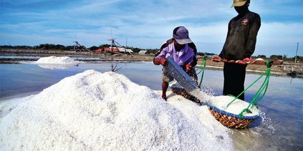 Penegak Hukum Perlu Gotong Royong Awasi Impor Garam