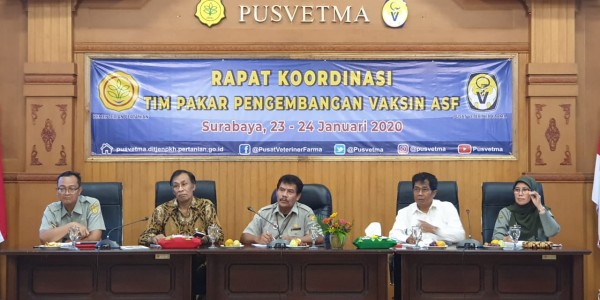 Cegah Demam Babi, Kementan Segera Produksi Vaksin Rekombinan ASF