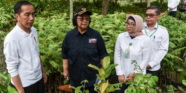Menteri Siti Dampingi Jokowi Tinjau Taman Nasional Gunung Merapi