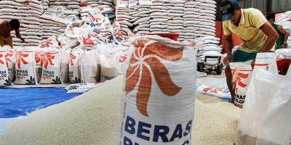 Direksi Bulog Dinilai Layak Dievaluasi Karena Paksakan Tender Di Tengah Corona