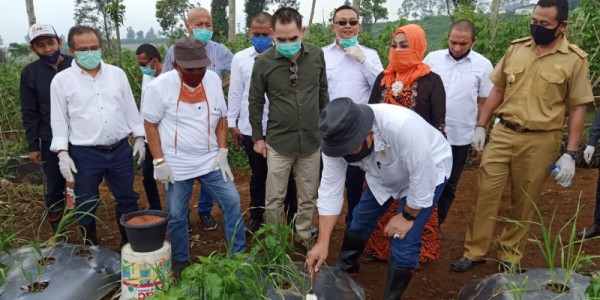 Ketua DPD RI LaNyala Kunjungi Sentra Bawang Di Cianjur