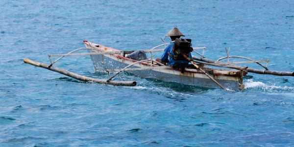 Hat-trik Covid-19: Harga Udang Melorot, Nelayan dan Petambak Menjerit