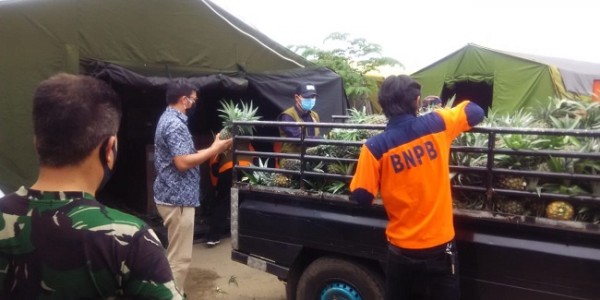 Koperasi Singgalang Sari Maju Sumbang Nenas Bagi Tenaga Medis Covid-19