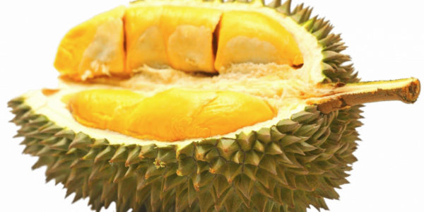 Durian Kemauan