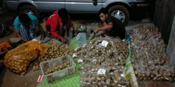 Petani Perhutanan Sosial Siap Bantu Atasi  Ksisis  Pangan