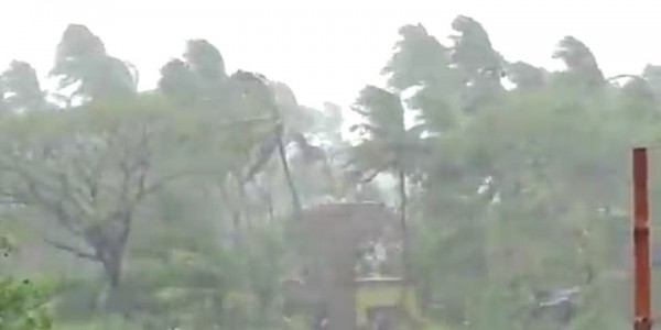 Topan Amphan Terjang India, Puluhan Orang Tewas