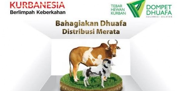 Kurban Tahun Ini Dompet Dhuafa Targetkan 1.000 Sapi dan 30.000 Domba