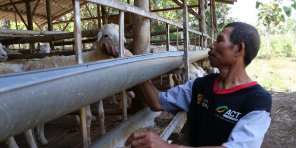 Jadi Agen Global Qurban - ACT, Luaskan Kebaikan dan Dapat Benefit