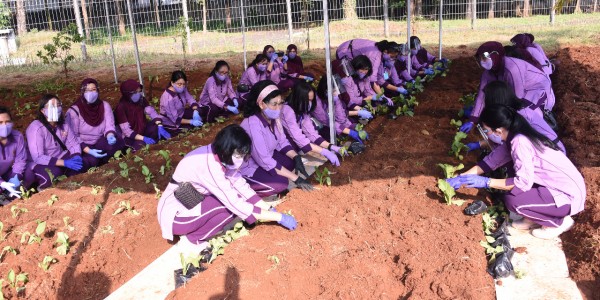 Ketum IKKT Lakukan Penanaman Untuk Ketahanan Pangan