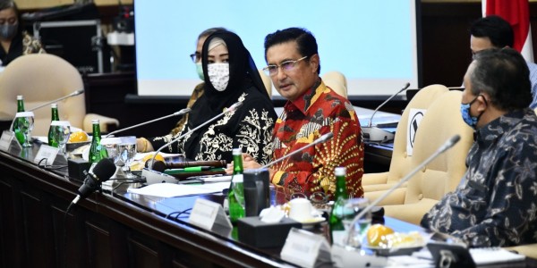 Fadel Muhammad Sampaikan Tiga Catatan Gerakan Ekonomi di Masa Pandemi