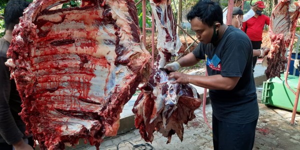Mabes TNI Sembelih 30 Ekor Hewan Kurban