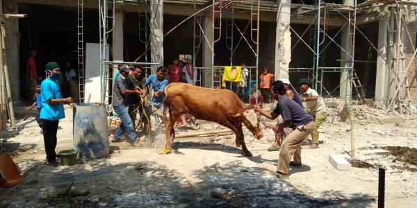 Yayasan Anak Bangsa Bagikan Daging Kurban