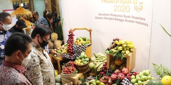 Airlangga : Mari Kita Cintai dan Selalu Konsumsi Buah Nusantara