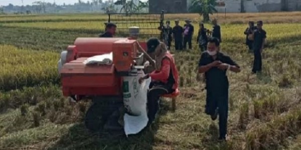 Dimasa Pendemi Covid-19 Tidak Menyurutkan Perjuangan Petani Dalam Ketersedian Pangan