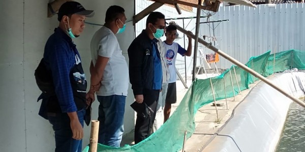 Petambak Udang Vaname di Cilacap Perlu Sentuhan Pemerintah