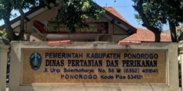 Dinas Pertanian Angkat Bicara Soal Kelangkaan Pupuk