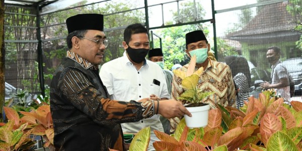 Kunjungi Krokot Nursery, Gus Jazil: Indonesia Bisa Menjadi Pengekspor Aglaonema