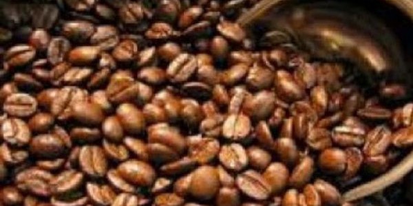 Permintaan Kopi Gayo Saat ini Merosot Drastis