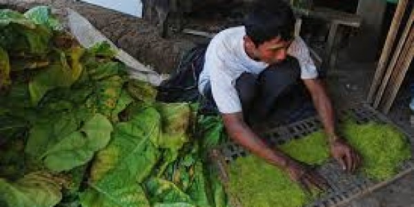 Tarif Cukai Tembakau Disebut Akan Pengaruhi Persaingan Usaha