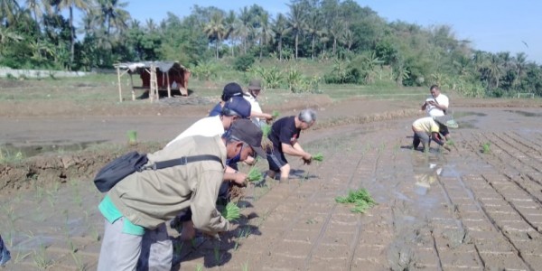 Dispangtan Purwakarta Dorong Petani Lakukan Percepatan Masa Tanam Di Bulan Okmar