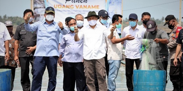 Kemenkop dan KKP Siap Fasilitasi Pengembangan Usaha Budidaya Udang Vaname 