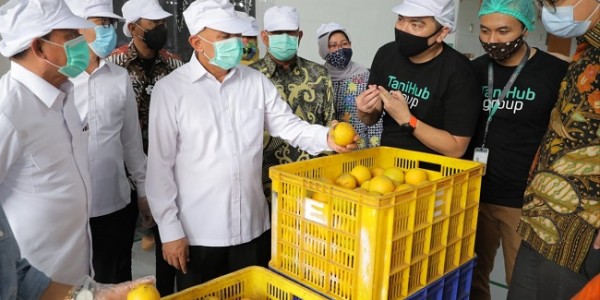 Serap Hasil Pertanian, Kemenkop Perkuat Kemitraan Koperasi dengan TaniHub 